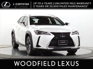 2020 Lexus UX 250h for sale in Schaumburg IL