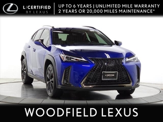 2021 Lexus UX 250h for sale in Schaumburg IL