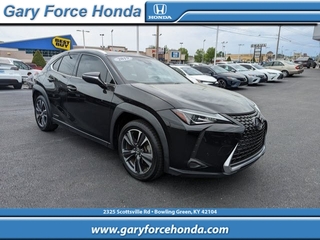 2019 Lexus UX 250h for sale in Bowling Green KY