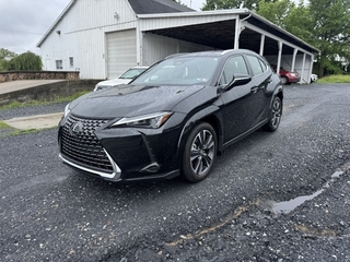 2025 Lexus UX 300h for sale in Allentown PA
