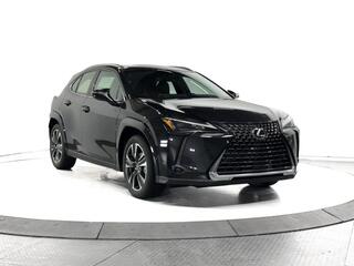 2025 Lexus UX 300h for sale in Schaumburg IL