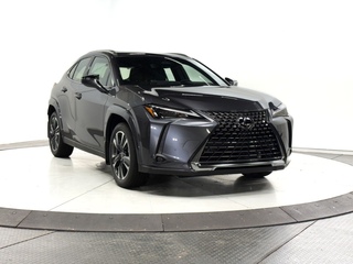 2025 Lexus UX 300h for sale in Schaumburg IL
