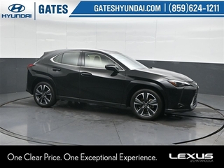 2025 Lexus UX 300h for sale in Chattanooga TN