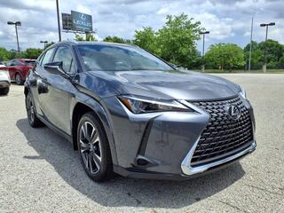 2025 Lexus UX 300h for sale in Nashville TN