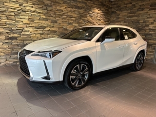 2025 Lexus UX 300h for sale in Allentown PA