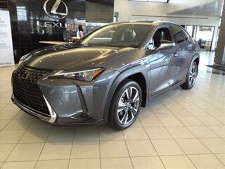 2024 Lexus UX 250h