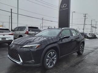 2024 Lexus UX 250h