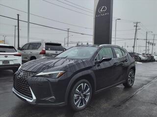 2024 Lexus UX 250h for sale in Toledo OH