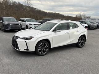 2025 Lexus UX 300h for sale in Kingsport TN