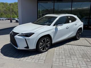2026 Lexus UX 300h for sale in Kingsport TN