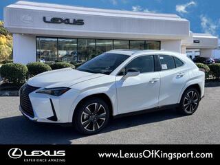 2025 Lexus UX 300h