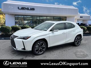 2025 Lexus UX 300h