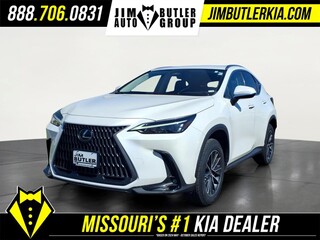 2024 Lexus NX 250