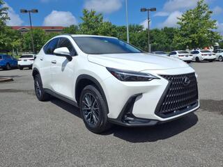 2024 Lexus NX 250 for sale in Nashville TN