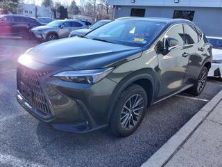 2022 Lexus NX 250 for sale in Larchmont NY