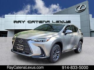 2022 Lexus NX 350 for sale in Larchmont NY