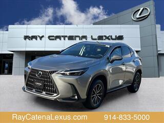 2022 Lexus NX 350 for sale in Larchmont NY