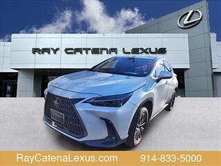 2022 Lexus NX 350 for sale in Larchmont NY