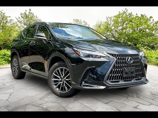 2024 Lexus NX 350 for sale in Freehold NJ