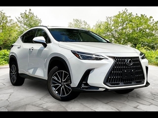 2024 Lexus NX 350 for sale in Freehold NJ