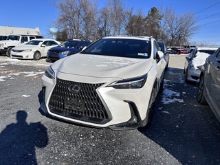 2024 Lexus NX 350 for sale in Allentown PA