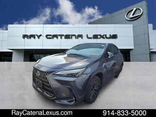 2022 Lexus NX 350 for sale in Larchmont NY