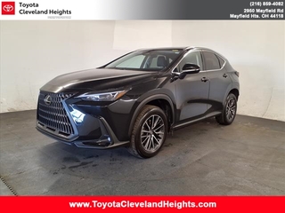 2024 Lexus NX 350 for sale in Cleveland Heights OH