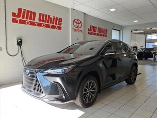 2023 Lexus NX 350h for sale in Toledo OH