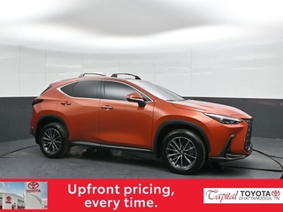 2024 Lexus NX 350h for sale in Chattanooga TN