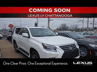 2023 Lexus GX 460 for sale in Chattanooga TN