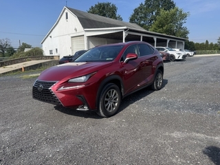 2019 Lexus NX 300 for sale in Allentown PA