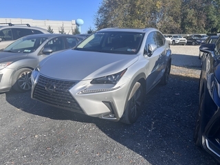 2019 Lexus NX 300 for sale in Allentown PA