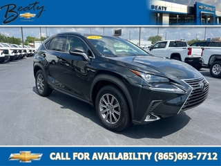 2019 Lexus NX 300 for sale in Knoxville TN