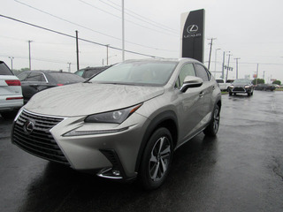 2019 Lexus NX 300 for sale in Toledo OH