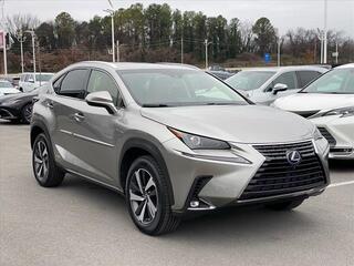 2019 Lexus NX 300h for sale in Chattanooga TN