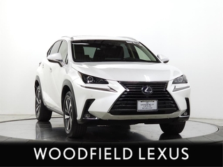 2019 Lexus NX 300h for sale in Schaumburg IL