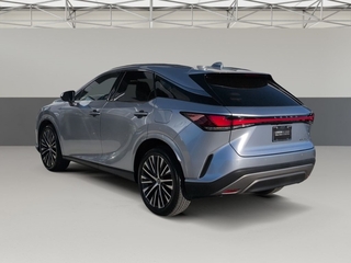 2023 Lexus RX 350 for sale in Chattanooga TN