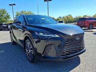 2025 Lexus RX 350 for sale in Nashville TN