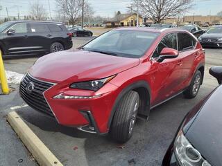2021 Lexus NX 300 for sale in Toledo OH