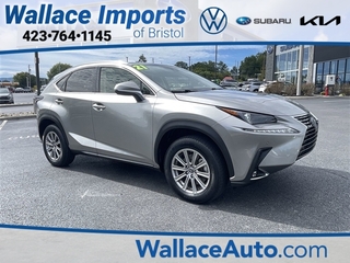 2021 Lexus NX 300 for sale in Bristol TN