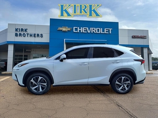 2020 Lexus NX 300 for sale in Grenada MS