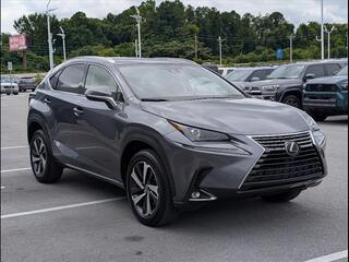 2021 Lexus NX 300 for sale in Chattanooga TN