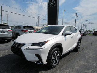 2020 Lexus NX 300 for sale in Toledo OH