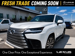 2024 Lexus LX 600 for sale in Chattanooga TN