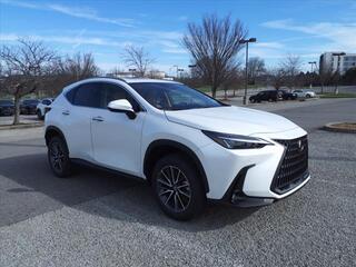 2024 Lexus NX 250 for sale in Brentwood TN