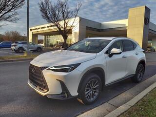 2025 Lexus NX 250 for sale in Brentwood TN