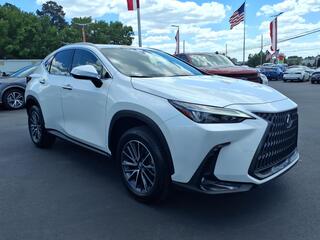 2025 Lexus NX 250