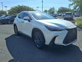 2025 Lexus NX 250 for sale in Nashville TN