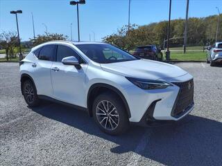 2025 Lexus NX 250 for sale in Brentwood TN