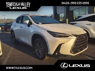 2025 Lexus NX 250 for sale in Temecula CA